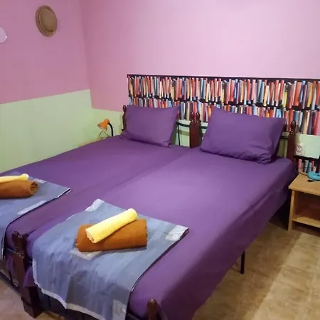 Sea Joy Studio Warna